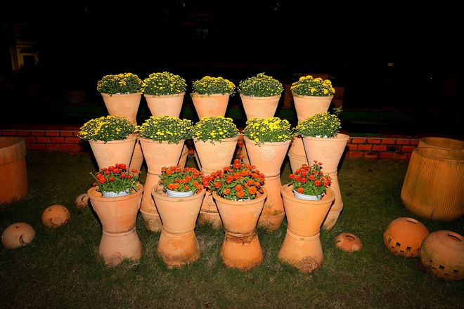 Ngắm linh vật ngựa oai phong tại đường hoa Xuân Vĩnh Long 2026 - Ảnh 7. Ngắm linh vật ngựa oai phong tại đường hoa Xuân Vĩnh Long 2026 - Ảnh 7.