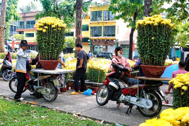Chợ hoa Tết TPHCM: Kh&ocirc;ng gian văn h&oacute;a xu&acirc;n - Ảnh 5.