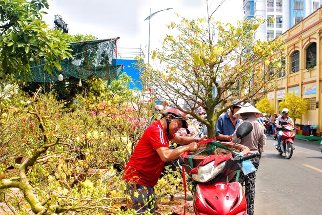 Chợ hoa Tết TPHCM: Kh&ocirc;ng gian văn h&oacute;a xu&acirc;n - Ảnh 7.