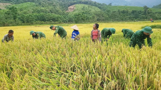 B&iacute; ẩn người Rục: H&agrave;nh tr&igrave;nh từ hang đ&aacute; đến B&aacute;o v&agrave;ng Locarno - Ảnh 5.