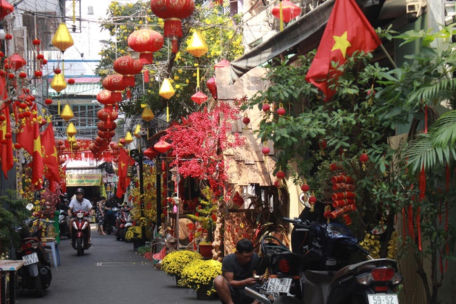 Sắc xu&acirc;n len lỏi v&agrave;o từng con hẻm TP HCM - Ảnh 5.
