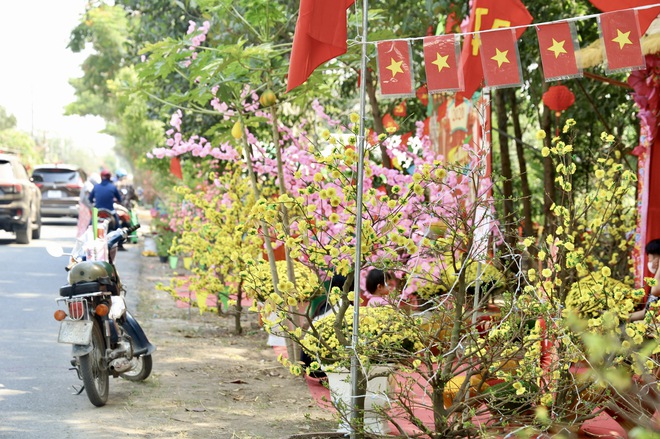 Khai mạc Đường hoa Mai v&agrave;ng B&igrave;nh Lợi: T&ocirc;n vinh l&agrave;ng nghề giữa l&ograve;ng đ&ocirc; thị - Ảnh 2.