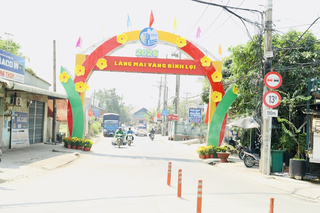 Khai mạc Đường hoa Mai v&agrave;ng B&igrave;nh Lợi: T&ocirc;n vinh l&agrave;ng nghề giữa l&ograve;ng đ&ocirc; thị - Ảnh 1.