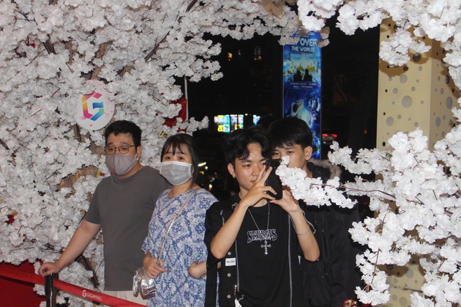 Lễ hội Hoa Anh đ&agrave;o, t&aacute;i hiện kh&ocirc;ng gian Nhật Bản độc đ&aacute;o - Ảnh 14.