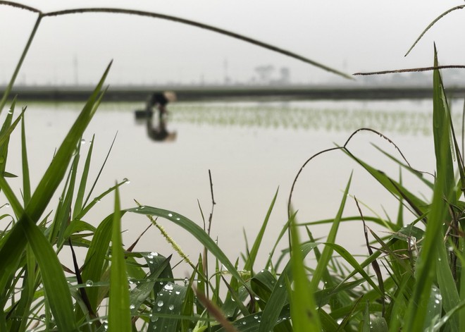 Giọt sương trong ống kính của đạo diễn Dương Huy - Ảnh 2.