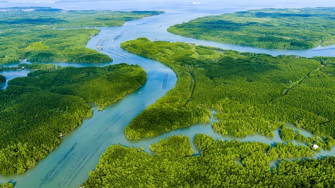 Tour trực thăng TPHCM ch&iacute;nh thức đ&oacute;n kh&aacute;ch , trải nghiệm ngắm th&agrave;nh phố từ tr&ecirc;n cao - Ảnh 4.