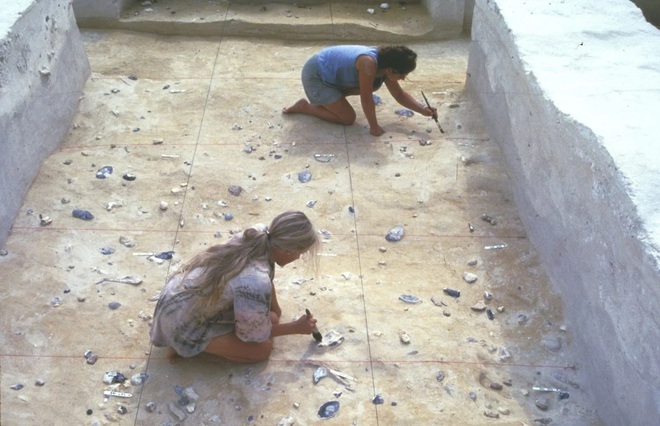 Ph&aacute;t hiện b&aacute;u vật 500.000 tuổi do lo&agrave;i người kh&aacute;c chế t&aacute;c - Ảnh 3.