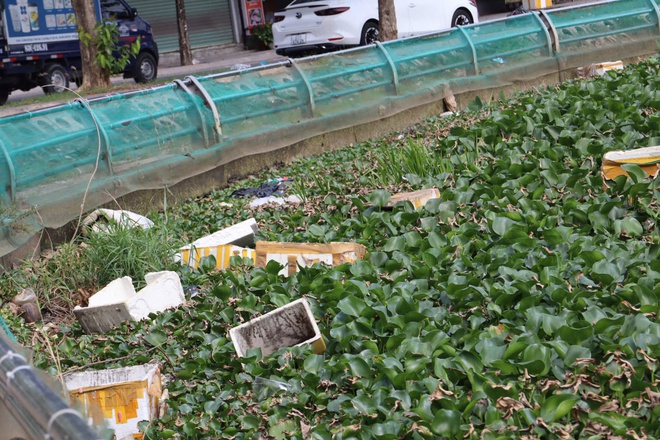 CLIP: Hồ B&uacute;ng X&aacute;ng cải tạo 220 tỉ đồng vẫn &ocirc; nhiễm v&igrave; ngập r&aacute;c v&agrave; lục b&igrave;nh - Ảnh 8.