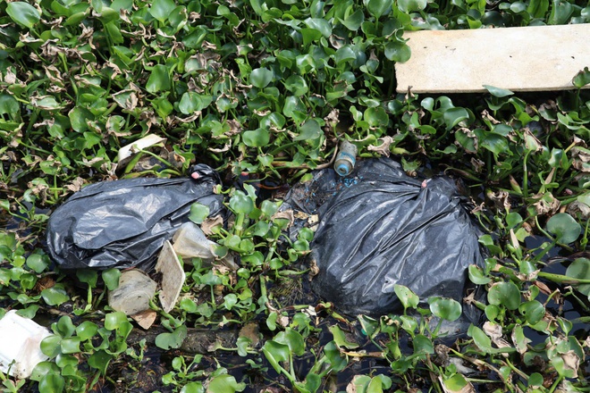 CLIP: Hồ B&uacute;ng X&aacute;ng cải tạo 220 tỉ đồng vẫn &ocirc; nhiễm v&igrave; ngập r&aacute;c v&agrave; lục b&igrave;nh - Ảnh 7.