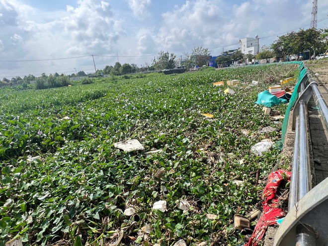 CLIP: Hồ B&uacute;ng X&aacute;ng cải tạo 220 tỉ đồng vẫn &ocirc; nhiễm v&igrave; ngập r&aacute;c v&agrave; lục b&igrave;nh - Ảnh 5.