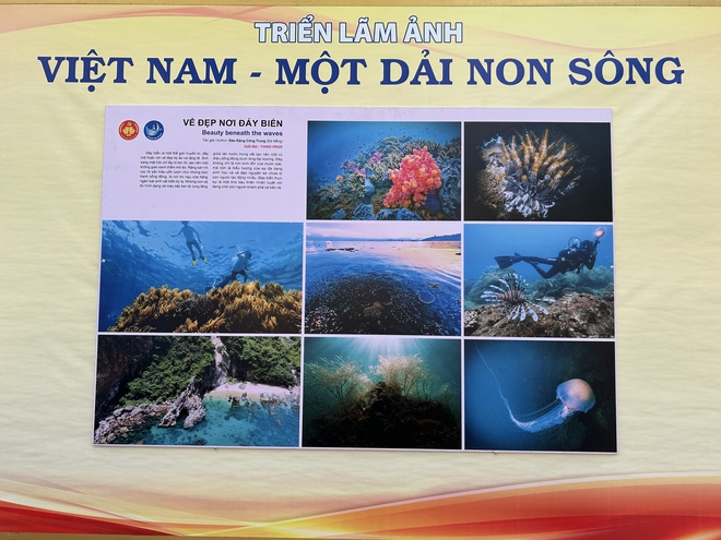 TP HCM tổ chức triển l&atilde;m ảnh quy m&ocirc; lớn - Ảnh 5.