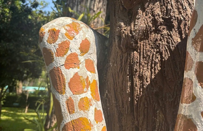 Thảo Cầm Vi&ecirc;n S&agrave;i G&ograve;n khuyến c&aacute;o sau tr&agrave;o lưu leo tượng chụp ảnh  - Ảnh 4.