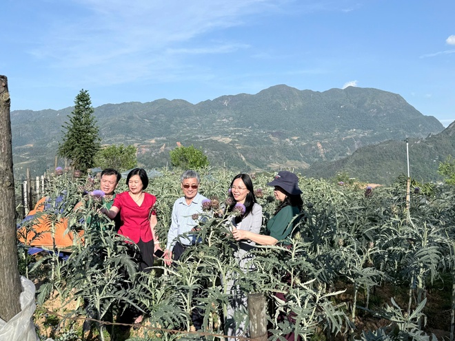 Dược liệu Việt Nam t&igrave;m đường th&agrave;nh ng&agrave;nh kinh tế mũi nhọn - Ảnh 17.