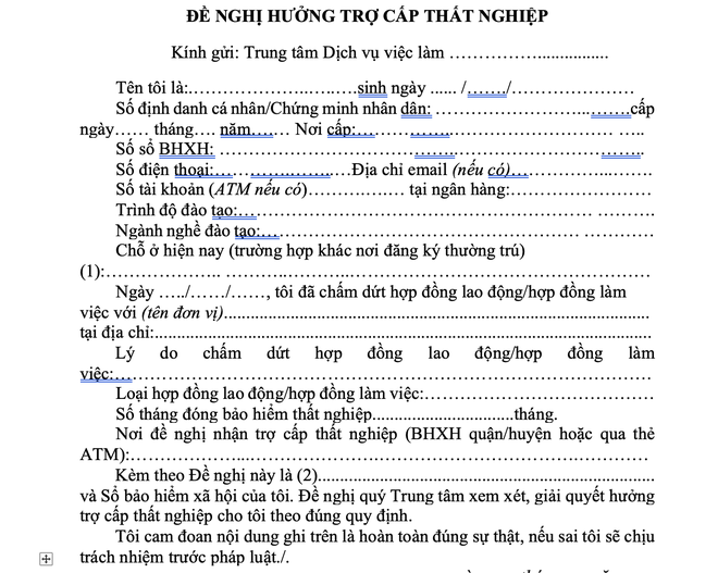 Hồ sơ hưởng trợ cấp thất nghiệp 2026 c&oacute; g&igrave; mới? - Ảnh 3.