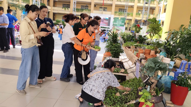 Nhiều hoạt động &yacute; nghĩa d&agrave;nh cho đo&agrave;n vi&ecirc;n, lao động phường T&acirc;y Thạnh - Ảnh 5.