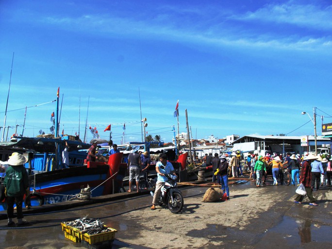 Hàng trăm người ra bến cá phường 6 đón lộc biển đầu năm