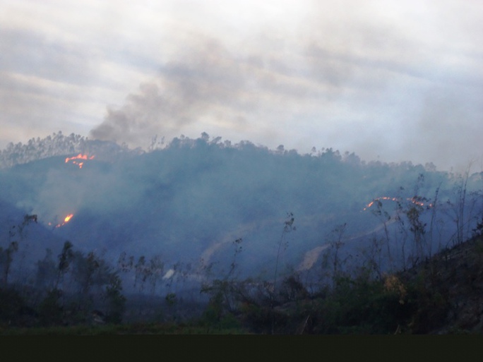 Thời tiết hanh khô khiến vụ cháy rừng càng bùng phát