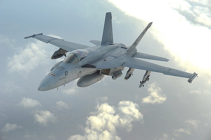 Một chiếc F-18 Hornet. Ảnh: eag-enterprises.org