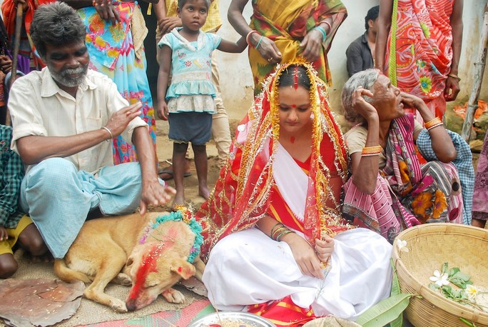 India: 18-year-old girl marries… dog