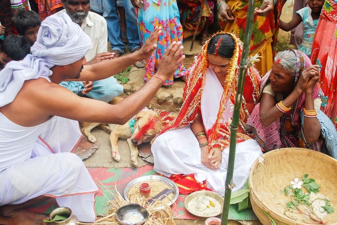 India: 18-year-old girl marries… dog