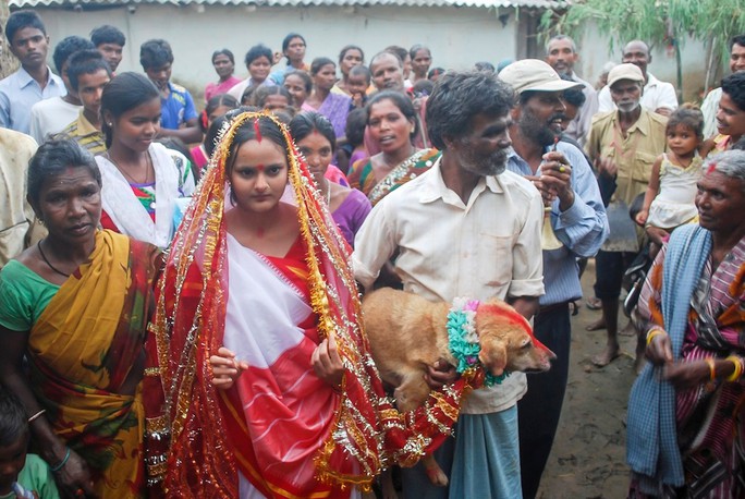 India: 18-year-old girl marries… dog