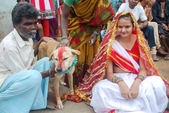 India: 18-year-old girl marries… dog