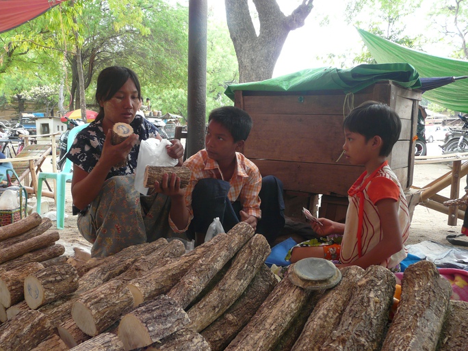 Thanaka - loại gỗ lấy phấn thoa mặt của phụ nữ Myanmar