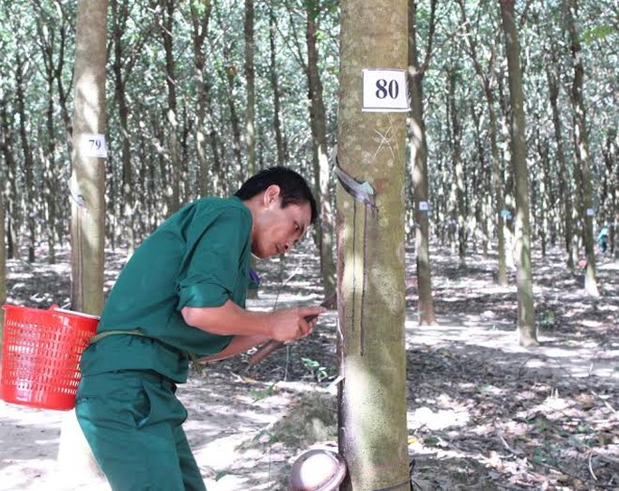 8 nhóm đối tựơng được điều chỉnh lương hưu, trợ cấp BHXH - Ảnh 1.