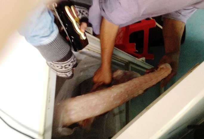 Thịt cá cấu được trữ trong các thùng cấp đông