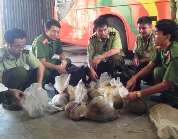 12 con tê tê và rùa gai được lực lượng Quản lý thị trường Ninh Bình phát hiện thu giữ