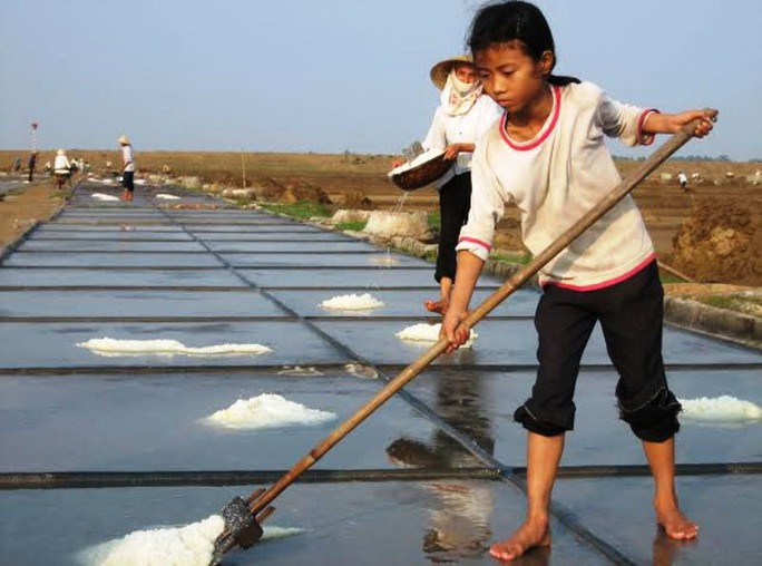 Nhân công tại các cánh đồng muối ở Thanh Hóa đa số là người già và trẻ em  Ảnh: TUẤN MINH