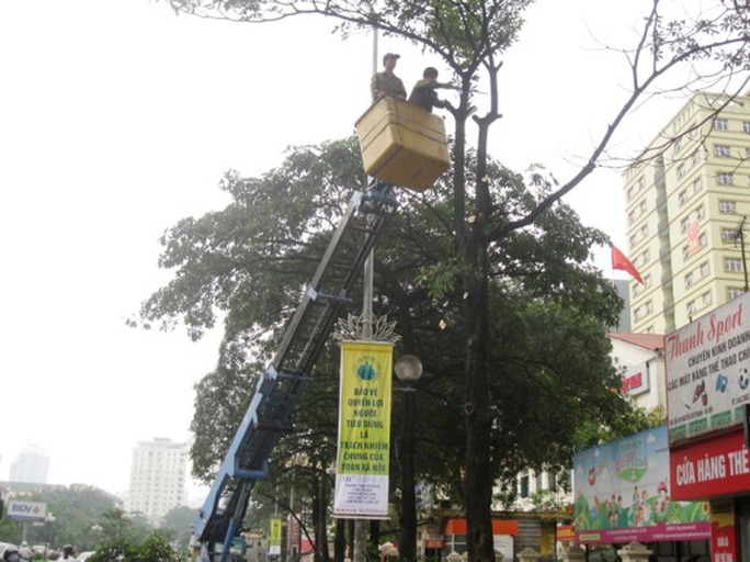 Công nhân đang tích cực làm việc Công nhân đang tích cực làm việc