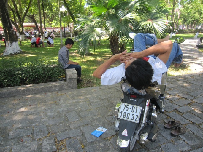 Ngủ trưa trên xe tại công viên
