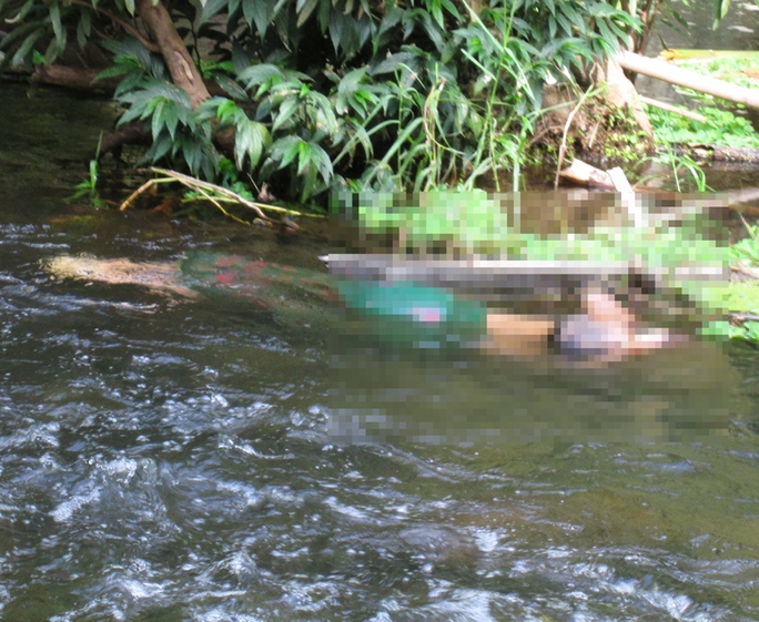 Thi thể của nạn nhân được người dân phát hiện ở dưới lòng suối.