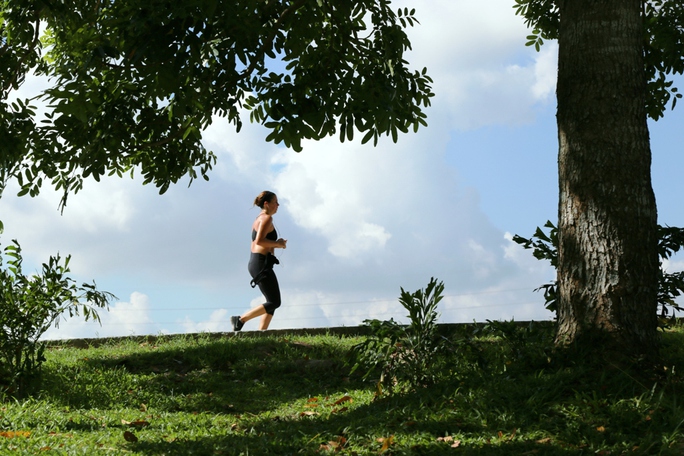 Một người nước ngoài chạy thể dục ngang qua vòm cây trong TP. Mới