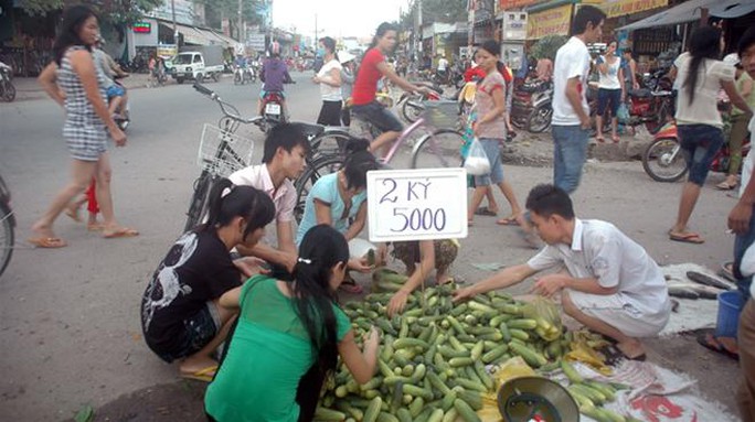 Lương chưa đủ sống, nói gì đến lương hưu