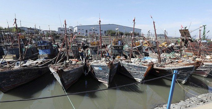 
Tàu cá Trung Quốc đánh bắt trái phép trong vùng biển Hàn Quốc đang bị tạm giữ ở cảng thuộc TP Incheon hôm 10-10. Ảnh: AP
