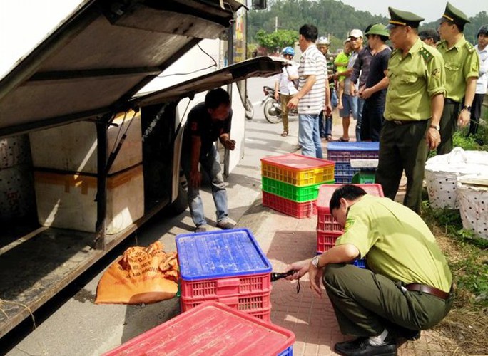 
Hơn 1,3 tấn rắn được Lực lượng Kiểm Lâm Thanh Hóa phát hiện trên xe khách từ Cần Thơ ra Quảng Ninh tiêu thụ
