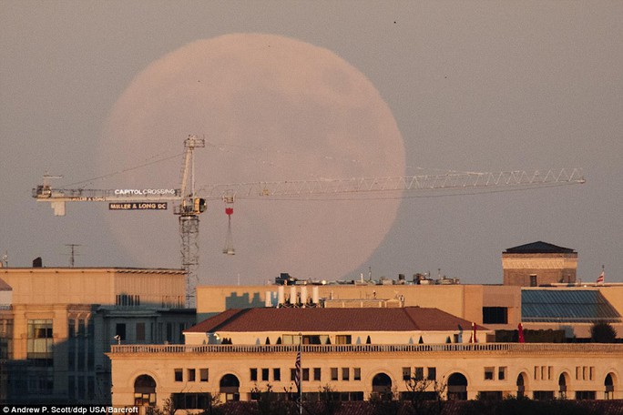 Siêu trăng lần này sẽ lớn hơn 14% và sáng hơn 30% so với bình thường. Ảnh siêu trăng ở TP Arlington, bang Virginia hôm 13-11. Ảnh: BARCROFT