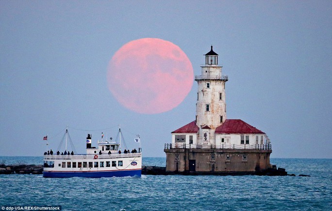 Siêu trăng xuất hiện phía trên ngọn hải đăng Chicago Harbor Lighthouse. Ảnh: REX