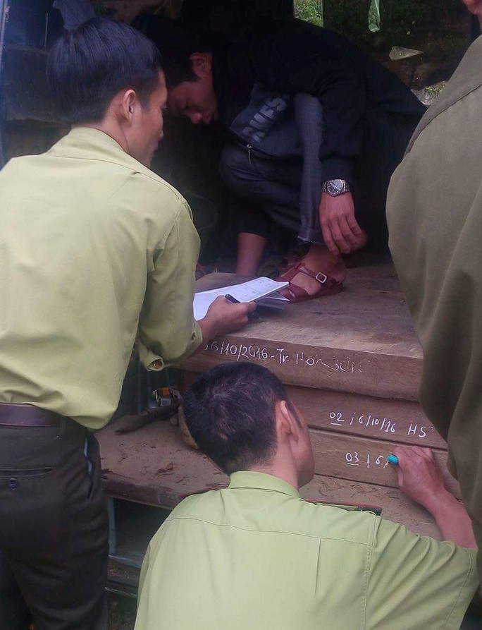 Số gỗ lậu trên do nhóm đối tượng vào khu vực rừng VQG Phong Nha – Kẻ Bàng để khai thác trái phép đã được tạm giữ