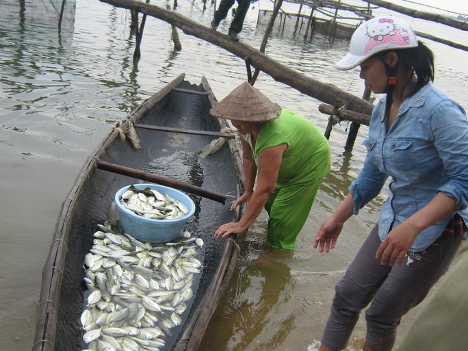 Sự cố môi trường do Formosa gây ra ảnh hưởng nặng nề đến ngư dân 4 tỉnh miền Trung Ảnh: QUANG TÁM