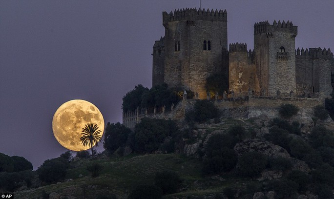 
Ở lâu đài Almodovar tại Cordoba, miền Nam Tây Ban Nha. Ảnh: AP
