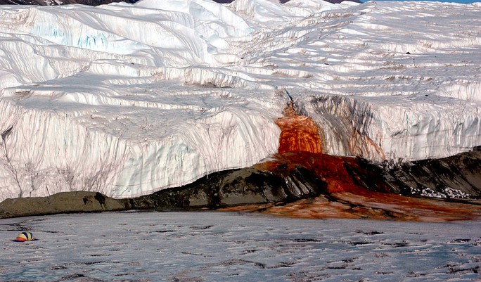
Dòng thác máu chảy ra từ sông băng Taylor ở Nam Cực đã là bí ẩn đối với khoa học suốt 1 thế kỷ qua. Ảnh: National Science Foundation/Wikipedia
