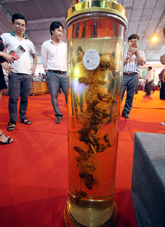 Bán được củ sâm giá 120 triệu đồng tại lễ hội sâm Ngọc Linh - Ảnh 8.