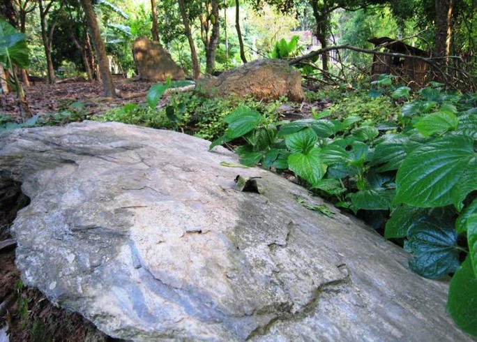 
Khu mộ đá cổ còn nhiều bí ẩn trong vườn nhà anh Hà Minh Tâm ở bản Phai, xã Trung Thành, huyện Quan Hóa (Thanh Hóa)
