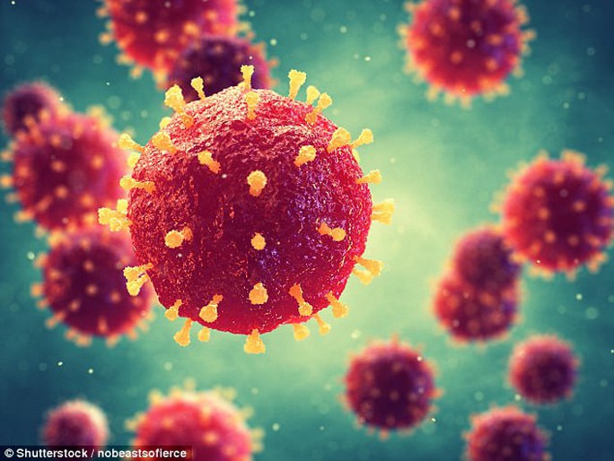 Tái xuất virus sốt xuất huyết hiếm, khủng khiếp như Ebola - Ảnh 1.