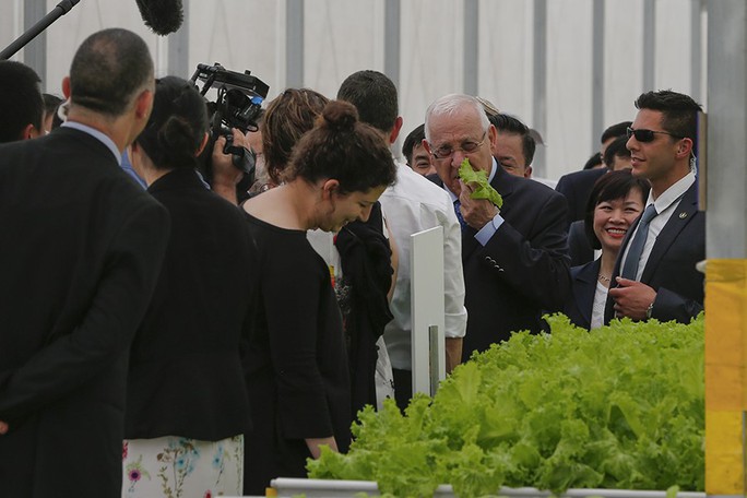 Tổng thống Israel Reuven Ruvi Rivlin đã tự tay hái rau sạch tại Khu nhà kính VinEco Tam Đảo và ăn ngay tại vườn
