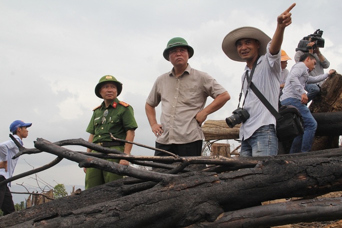 Vụ phá rừng ở Quảng Nam: Bắt một người, điều tra kẻ chủ mưu - Ảnh 1.