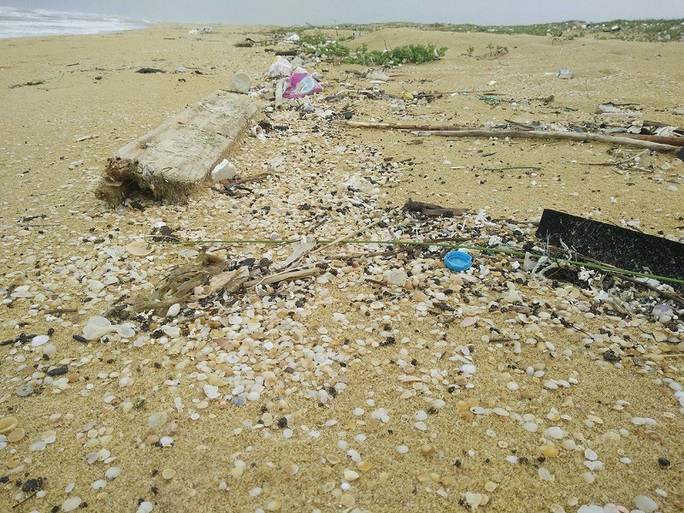 Dầu vón cục, chai lọ chữ Trung Quốc ngập tràn bờ biển Quảng Nam